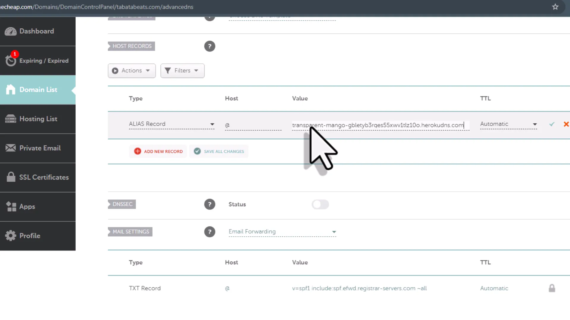 Adding ALIAS record in Namecheap
