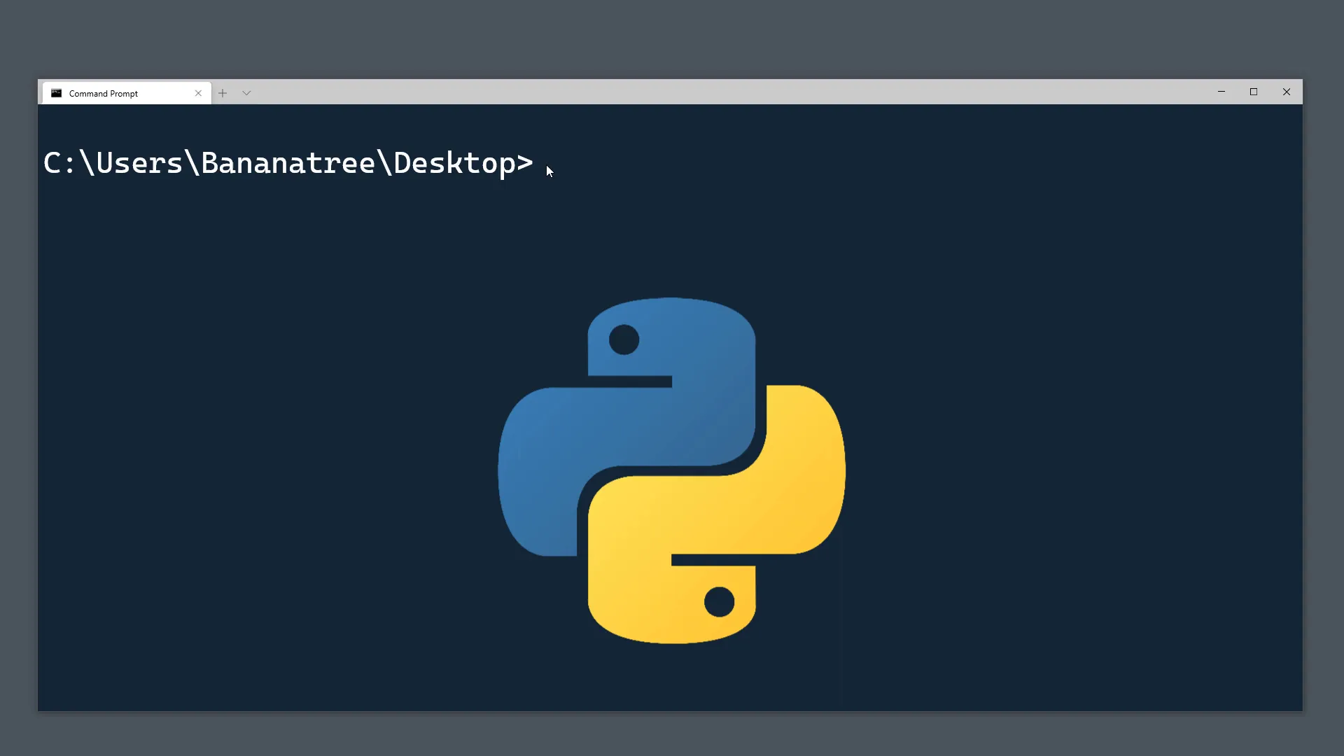 Python installation guide