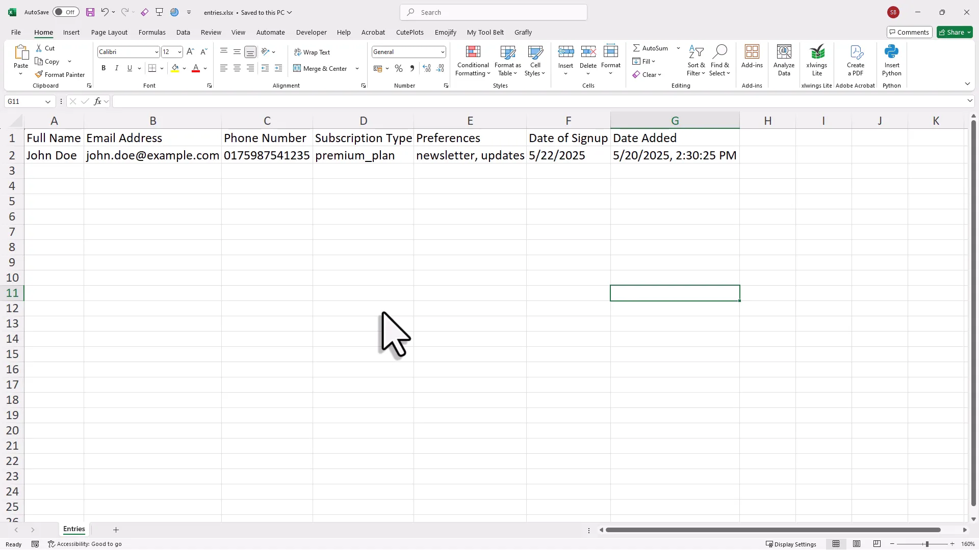 Excel workbook with headers and first data entry