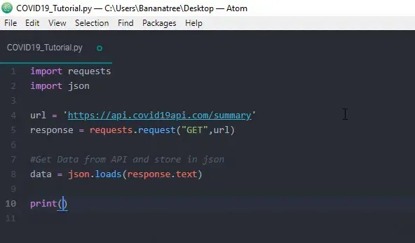 Python code setup for API call