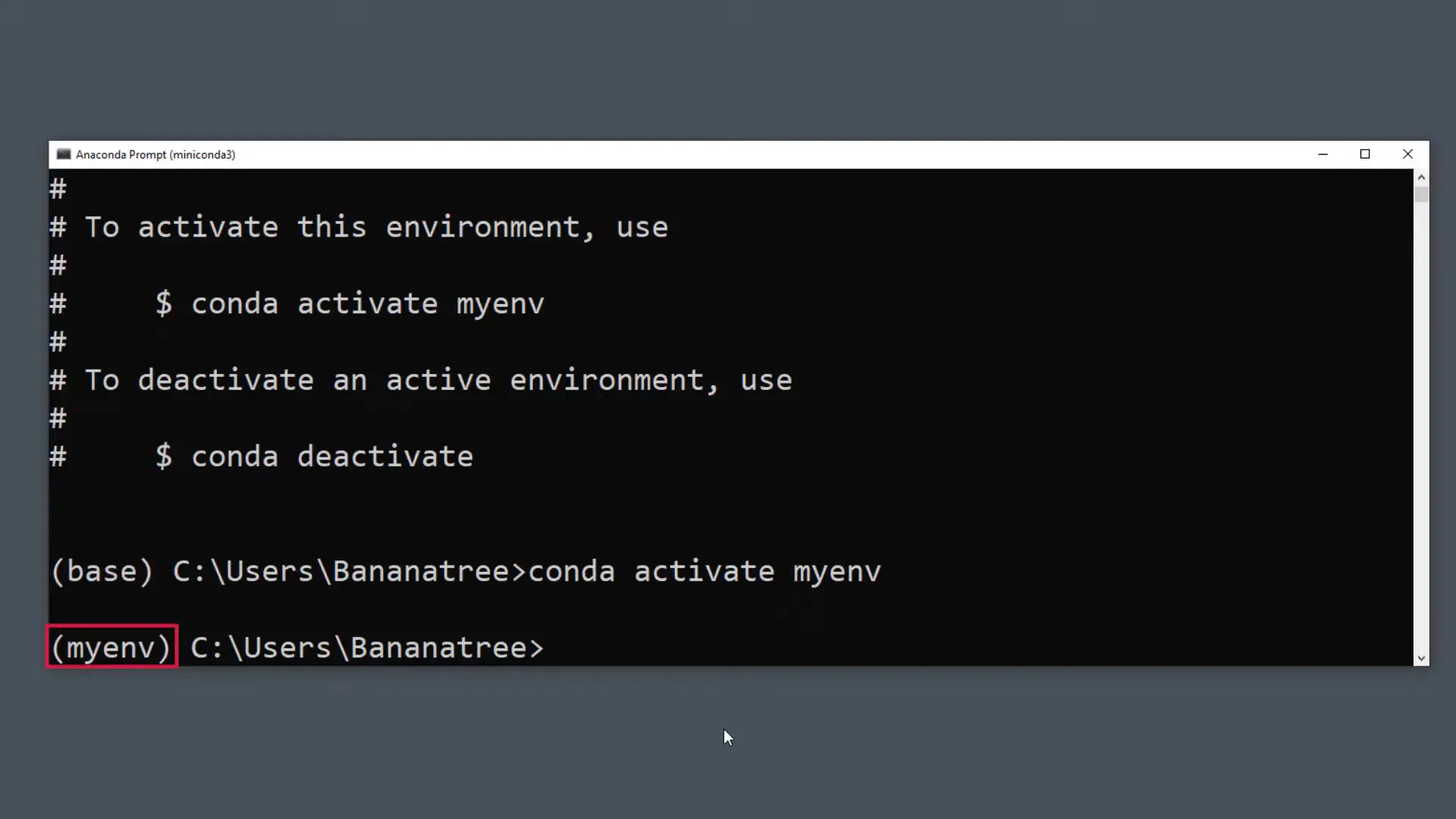 Command prompt showing activated environment and installed libraries