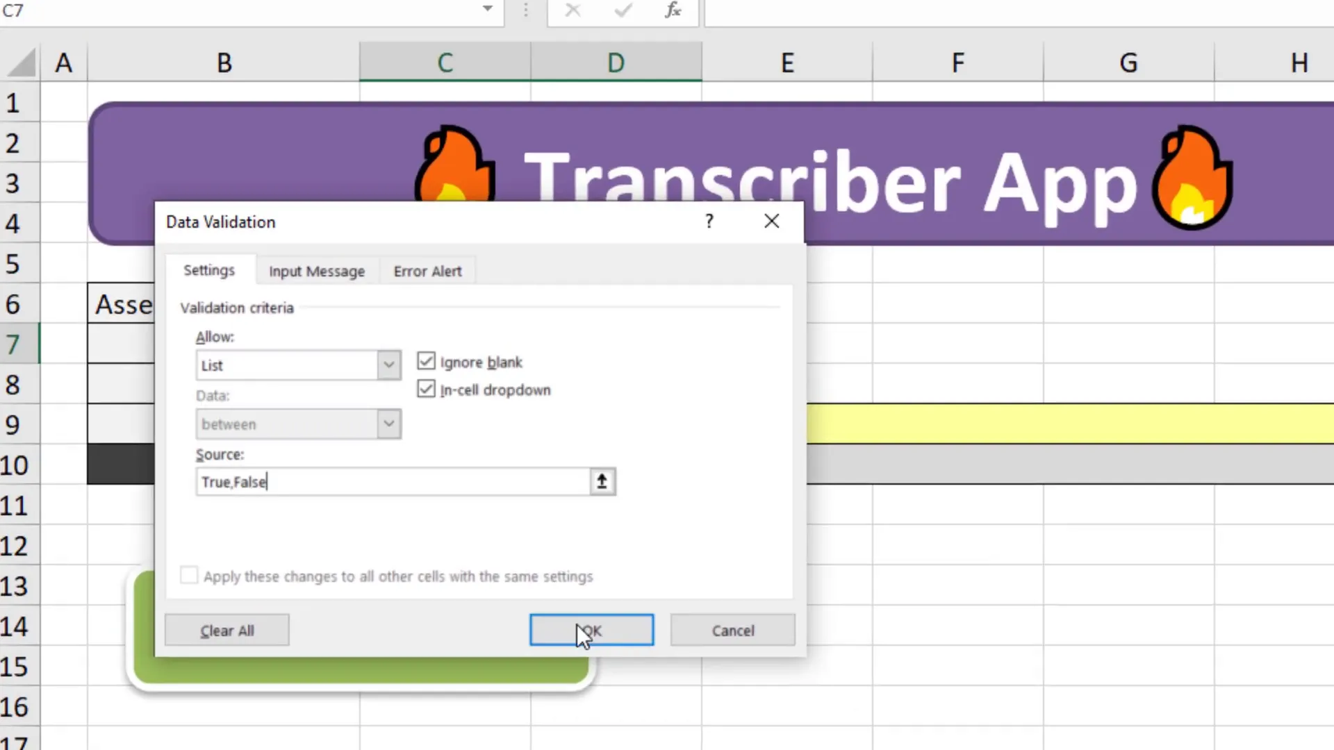 Drop-down list in Excel for True/False options