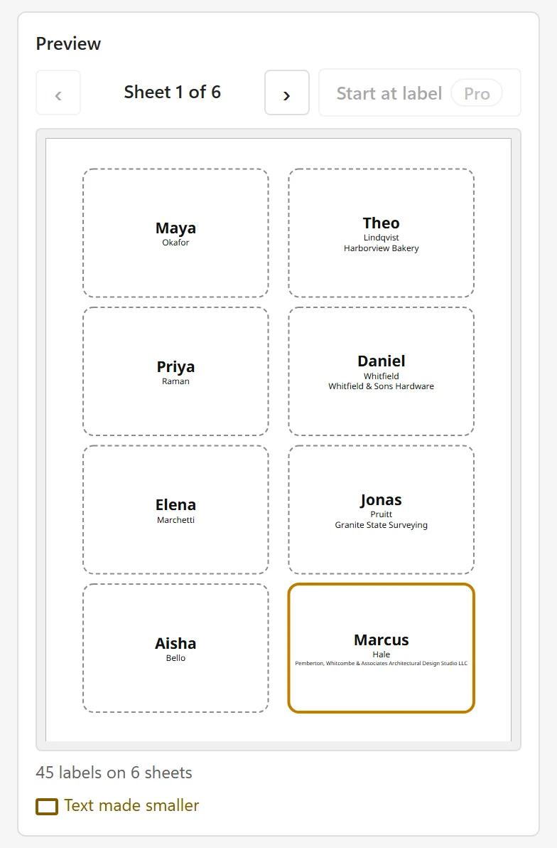 The Preview card showing a sheet of 8 name badges, each with a big bold centered first name and the last name and company in smaller type below