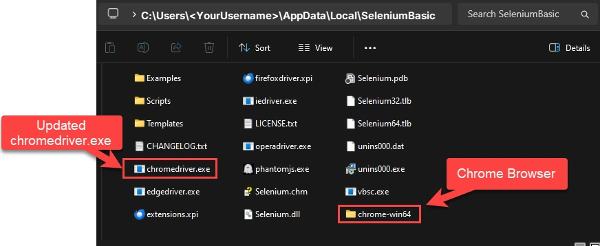 Move the Files to Selenium Basic Folder
