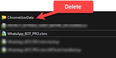 Delete ChromeUserData Folder