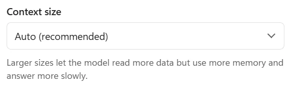 Settings: the Context size list set to Auto (recommended)